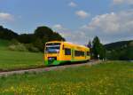 650 665 (VT 32) als RB nach Schwandorf am 05.05.2013 bei Miltach.
