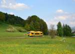 650 665 (VT 32) als RB nach Schwandorf am 05.05.2013 bei Miltach.