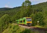 650 662 (VT 27) + 650 657 (VT 22) als RB nach Bayerisch Eisenstein am 12.07.2013 bei Ulrichsberg.