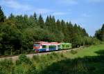 650 565 (VT 65) + 650 662 (VT 27) bei einer berfhrungsfahrt nach Zwiesel am 17.08.2013 bei Auerbach.