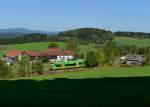 650 658 (VT 23) + 650 654 (VT 19) als RB nach Plattling am 24.09.2013 bei Triefenried.