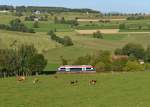 650 565 (VT 65)  als RB nach Plattling am 02.10.2013 bei Triefenried.