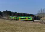 650 652 (VT 17) + 650 663 (VT 28) als RB nach Spicak am 02.04.2013 bei Triefenried.