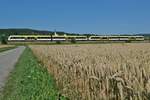 RB 31 / 17787 von Radolfzell nach Friedrichshafen Stadt am 03.07.2022 kurz nach der Abfahrt in Salem