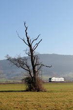 Bitte zur Disskussion - wie findet Ihr das Bild?    Gegenlichtaufnahme eines Solo-RS1 der SWEG:    SWE 87384 mit VT 508 im Stöckener Rückhaldebecken (05.12.2016)