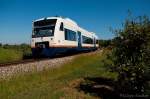 SPÄTSOMMER am KAISERSTUHL: SWEG VT 508 fährt bei Königschaffhausen durch viele Apfel-Plantagen.