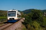 SPÄTSOMMER am KAISERSTUHL: SWEG VT 508 in den Reben bei Oberrotweil.