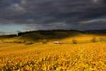 Wetterdrama am Kaiserstuhl.