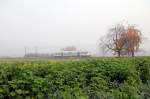 Viele RS1 der SWEG aus dem Kaiserstuhl fahren im Moment in der Ortenau, hier SWE 87369 mit VT 507  Vogtsburg  bei Ohlsbach im Oktobernebel (30.10.2015)