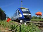 Unterwegs nach Tahle HBF Hex Lint am 15.06.2013