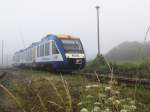 Lint 41 der HEX nach Thale HBF am 26.07.2014 in Halberstadt