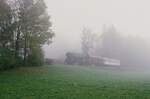 Fuchs-Schlepptriebwagen T 31 kämpft sich auf der WEG-Nebenbahn Amstetten-Laichingen durch den Nebel der Schwäbischen Alb (02.11.1984).