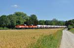 V 180 und V 181 die beiden Voith Gravitas der HZL ziehen den Holcim Zug nach Hechingen DB Bahnhof rein.Diese Aufnahme der wunderschnen Loks gelang mir bei Hechingen auf der Zollern Alb Bahn am 22.7.2013.