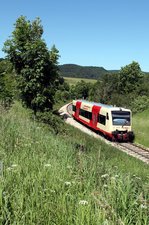 HzL 86321 mit VT 219 auf der Burladinger Steige (23.06.2016)