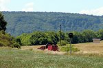 V 181 guckt verschmitzt aus dem Boden hervor. Die Lok hat mit Ihrem Güterzug die Burladinge Steige erklommen. (23.06.2016)