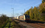 Am 31.10.19 führte der Goldbarren der HSl (185 597) einen Transcereal-Zug durch Wittenberg-Labetz Richtung Falkenberg(E).