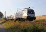 Der Hupac Taurus 182 602-3 (ES 64 U2-102) mit leeren Holztransportwagen in Fahrtrichtung Norden. Aufgenommen zwischen Eschwege und Albungen am 29.08.2013.