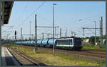 155 053-8 der IntEgro rollt am 14.07.2023 mit einem Kesselwagenzug durch Magdeburg Hbf.