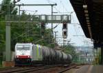 186 138 und 185 541 der ITL im Schlepp ziehen einen Kesselzug durch Dresden Strehlen Richtung Tschechische Grenze.
24.6.12