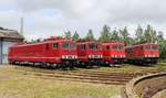Vom 02.-03.06.18 fand beim TEV Weimar ein kleines DR E-Lok Treffen der Baureihe 250 statt.
