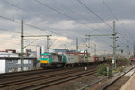 Vom Bahnsteig des Bahnhofs Köln-Nippes wurde Locon 272 404 nebst KLV-Zug abgelichtet.