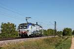 Nachschuss auf 193 773  150 Jahre Brennereisenbahn , als diese am 12.09.2018 als Lokzug von Basel Bad Bf ins Ruhrgebiet bei Hügelheim durchs Rheintal fuhr, nachdem sie den DPE 51  AKE Rheingold 