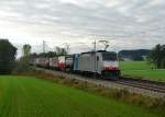 186 101 mit einem KLV am 13.10.2012 unterwegs bei Hilperting.