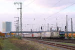 Mit einem der EKOL-KLV-Züge befährt Lokomotion 193 208 die Güterumgehungsgleise des Mannheimer Hauptbahnhofs.