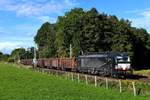 Der DGS 44129 von München Nord nach Brescia Scalo bestand am 01. Oktober 2019 nur aus acht Rolldach-Waggons der Gattung Tamns 895. Zuglok war die von MRCE angemietete 193 663. Da das Vertragsverhältnis wohl für längere Zeit besteht, hat der Vectron die für Lokomotion typischen Zebra-Streifen erhalten. 