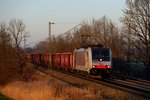 Im allerletzten Sonnenlicht gelang dann noch diese Aufnahme der 186.285 von Railpool mit dem Lokomotion Schrottzug 44129 nach Oberitalien (13. Dezember 2013).