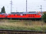 In Magdeburg Rothensee war die Lok 313 der MEG am 10.10.2009 abgestellt zu Betrachten.