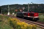 204 311 hat 142 001  im Schlepp  und ist auf dem Weg nach Bad Schandau, um dort den Kokszug nach Lichtenstein(Sachs) zu bernehmen. Mir ist das Gespann zufllig am 29.08.2012 in der Ortslage Rathen vor die Linse gefahren.