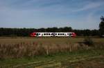 NBE VT2.74 als 81029 bei Rickling am 22.09.2010