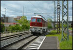 Beim Warten auf die Regionalbahn kommt die bordeauxrote Ludmilla 132 426-8 (Nossen-Riesaer Eisenbahn-Compagnie - NRE) am 20.04.2024 durch Würzburg-Zell gerollt.