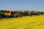 ODEG pendelt mit VT 650.51 und VT 650.54 als Zubringer zum Zarrentiner Bahnhofsfest zwischen Hagenow ber Wittenburg nach Zarrentin. 05.05.2007