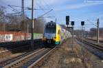 ET 445.103 (445 103-5) ODEG - Ostdeutsche Eisenbahn GmbH als RE4 (RE 37310) von Ludwigsfelde nach Rathenow, bei der Einfahrt in Rathenow. 06.02.2013