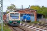 Ausfahrender Regio-Shuttle der Press in Bergen auf Rügen fährt gerade an der abgestellten Lok 204 011 vorbei.