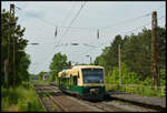 Der Regioshuttle 650 032-4  Zugbringer  (PRESS), der normalerweise planmäßig auf der Ostseeinsel Rügen zwischen Bergen und Lauterbach Mole pendelt, ist hier am 21.05.2023 im ehemaligen Bahnhof Markkleeberg West fernab seines Einsatzgebietes als Sonderzug PTB 89421 Leipzig Hbf – Espenhain auf der Leipziger Waldbahn unterwegs.