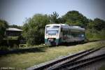 Der Triebwagen 650 032 der Press rumpelt ber die noch letzten alten Gleisanlagen des Bahnhofes Putbus (Rgen) um so gleich den Bahnsteig dessen gleichen zu erreichen.
Die Fahrt wird noch eine Station weiter, bis nach Lauterbach-Mole gehen.

Die Aufnahme entstand am 23.07.2013.