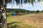 204 011-5 und 204 425-3 der Press zu sehen am 23.08.16 mit einem leeren Autozug von Regensburg nach Mosel in Lengenfeld. 