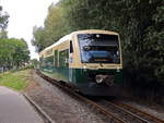 Einfahrt Press Regio Shuttle 650 032 von Stadler in Lauterbach Mole am 25.