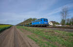 Die Press setzt auch im Jahr 2024 noch Loks der Baureihe 140 ein. 140 017 war am 04.04.2024 bei Plottendorf mit einen leeren Autozug in Richtung Mosel unterwegs.