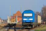 Siemens dieselelektrische Lok ER 20 (Herkules) mit angeladenen Wagen zur Holzverladung auf der Torgelower Ladestrasse.