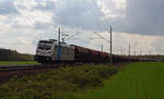 187 312 führte für die Raildox am 28.04.19 einen Schwenkdachwagenzug durch Burgkemnitz Richtung Wittenberg.