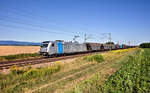 Railpool 187 302-5 fährt in Stephansposching mit einem Getreidezug nach Nord.Bild 7.8.2017