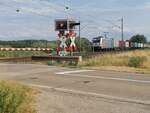 Die Railpool Lok der Baureihe 187 306-6 ist auf der Strecke Treuchtlingen-Würzburg mit einem Containerzug Richtung Norden unterwegs.