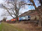 Am 26.2.14 war der Werbevectron (193 806) im Maintal unterwegs.
Aufgenommen bei Thüngersheim. 