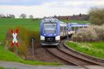 Regionalverkehr Start Alstom Coradia iLint Wasserstofftriebzug 554 109+554 xxx am 05.04.24 auf der Taunusbahn