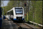VT 212 der Rurtalbahn fährt hier als RB nach Düren am 27.4.2022 um 14.16 Uhr in den Haltepunkt Jülich Nord ein.