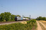 Die Br 193 109 von SBB Cargo International fährt mit einem Güterzug durch Hügelheim Richtung Basel. 11.7.2023